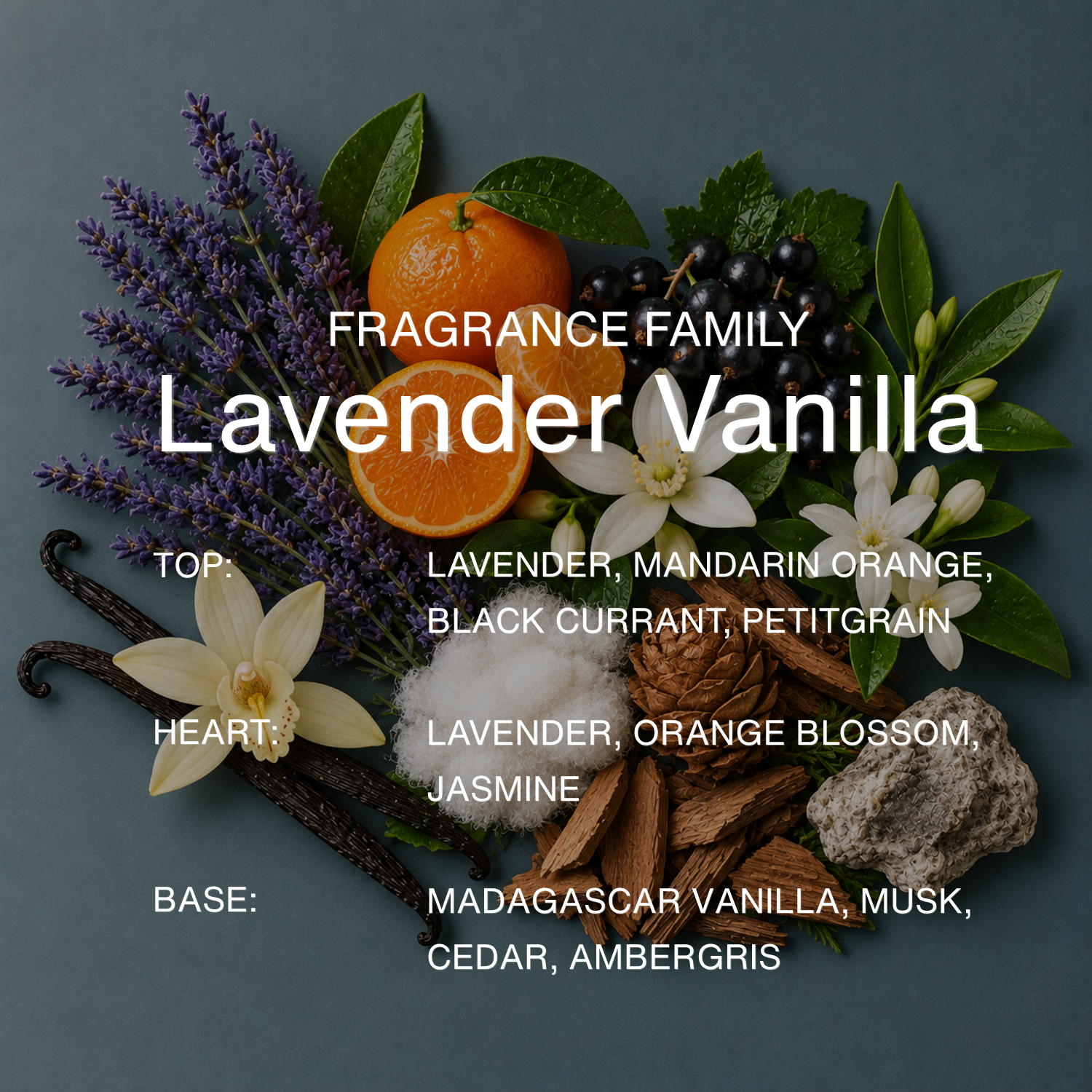 Lavender Silk – Lavender Floral Perfume for Women – 45ml TOMHILL