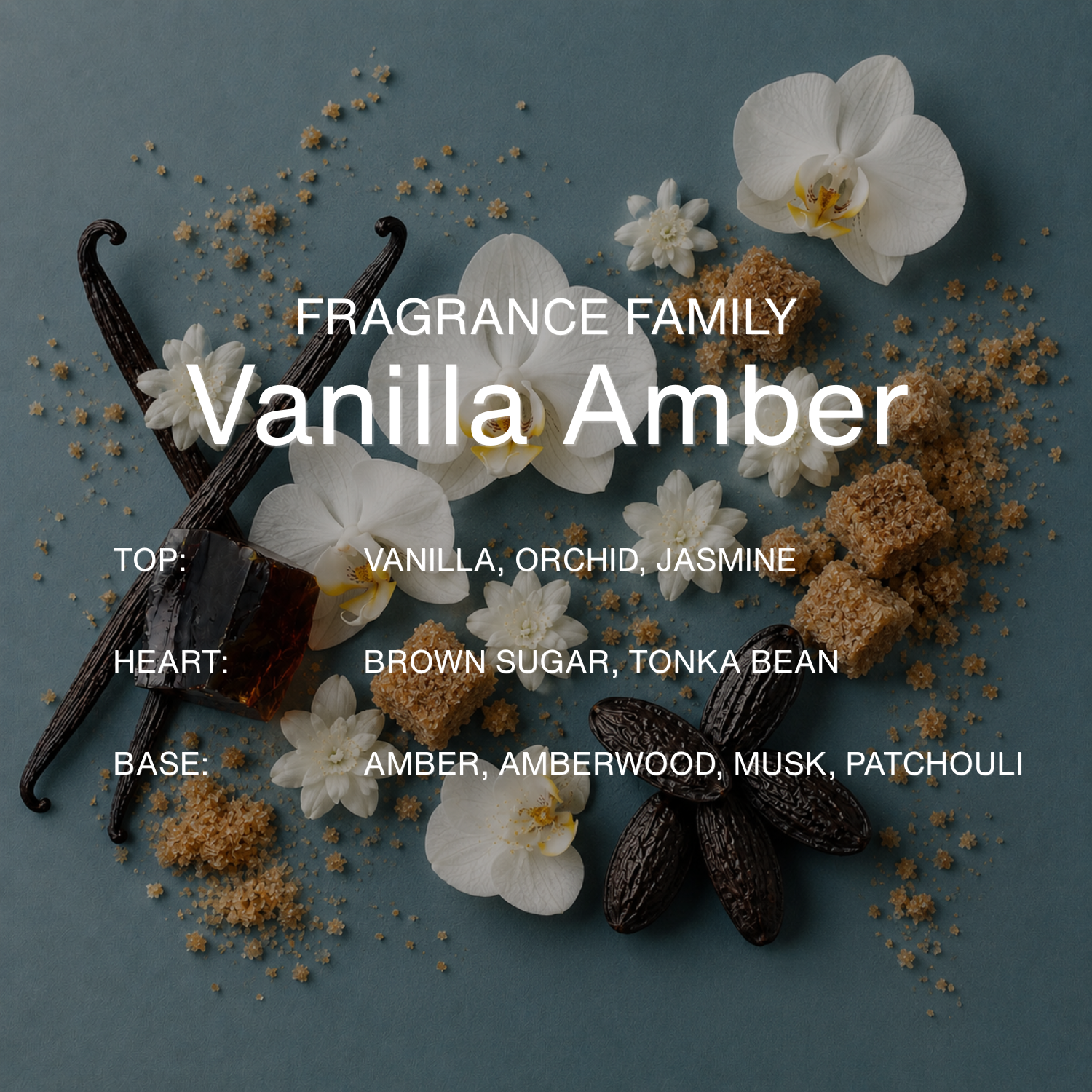 Vanilla 23 – Gourmand Perfume for Women – 45ml