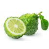 Bergamot