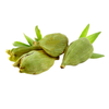Cardamom