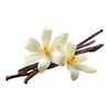 Vanilla